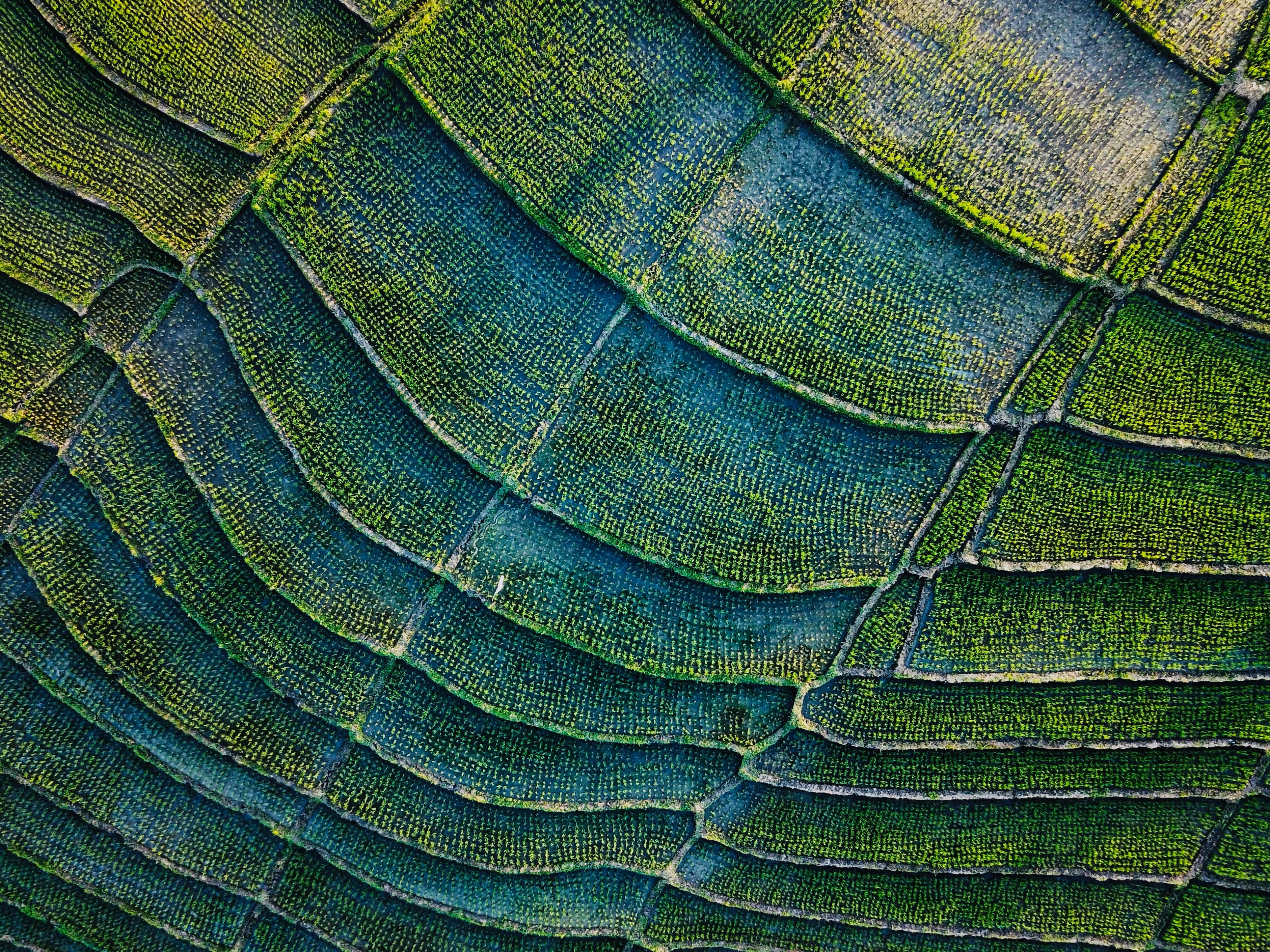7 sustainable startups that will inspire you to go green