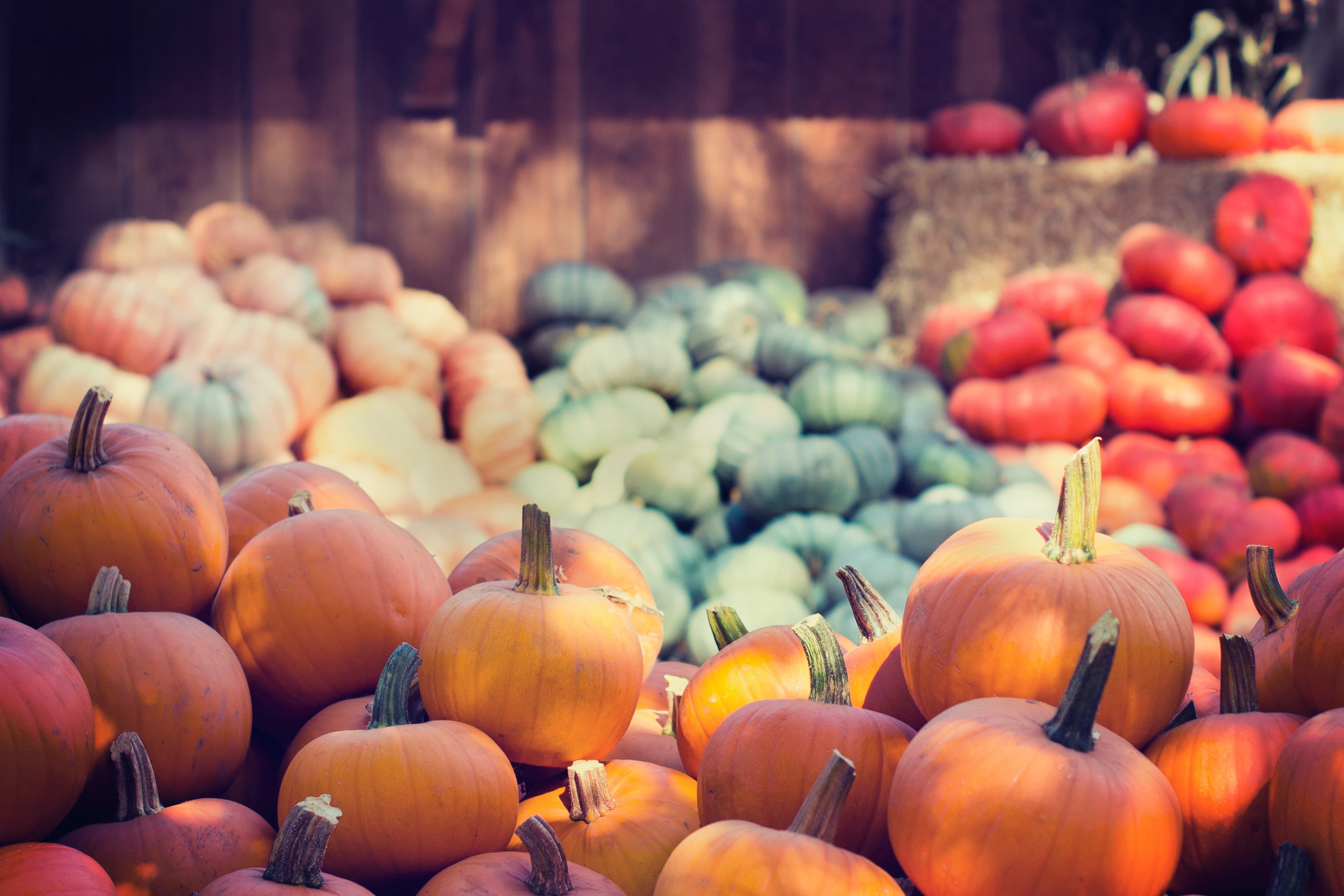 Perfectly Sliced - October 2022