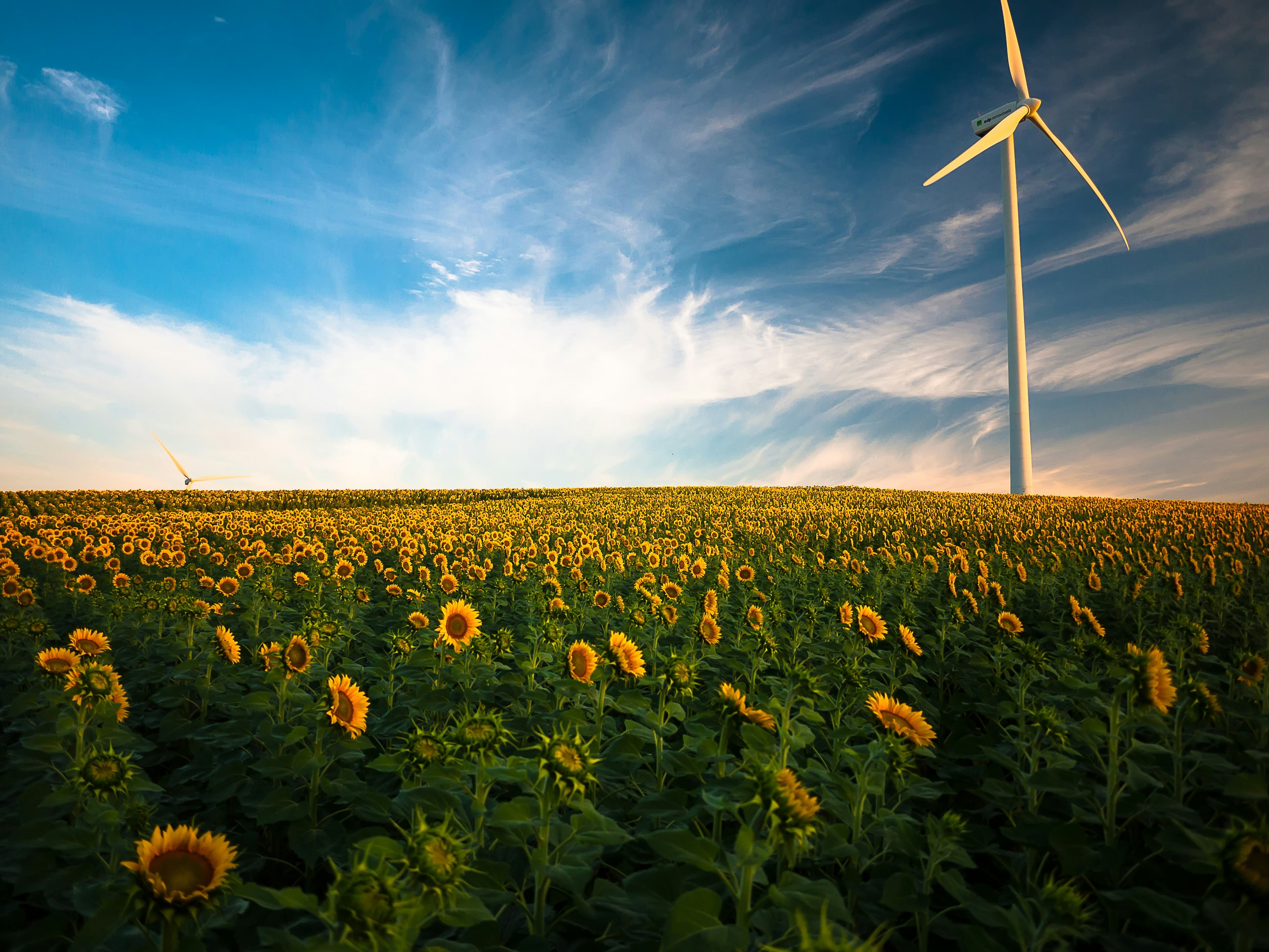 8 PR tips for sharing your company’s CSR messaging