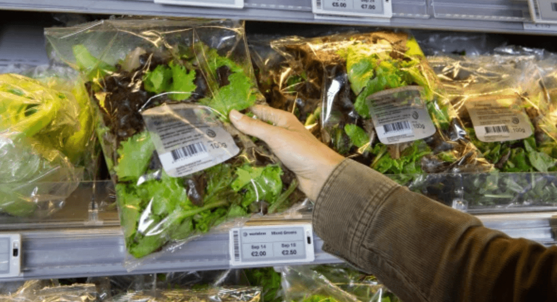 'We will wonder why perishables ever had constant prices in the first place’: AI firm Wasteless on why dynamic pricing is key in the fight against food waste