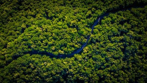 How to get your greentech startup in the news